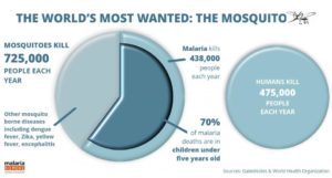 Most wanted - mosquitoes