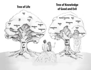 Trees of Decision