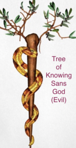Asclepius' Tree of Knowing
