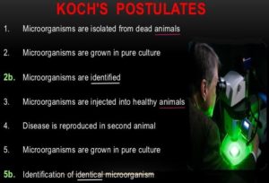 Koch's Postulates of Infectious Diseases