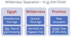 Wilderness Journey is this Creation: Separation In or Anti Christ